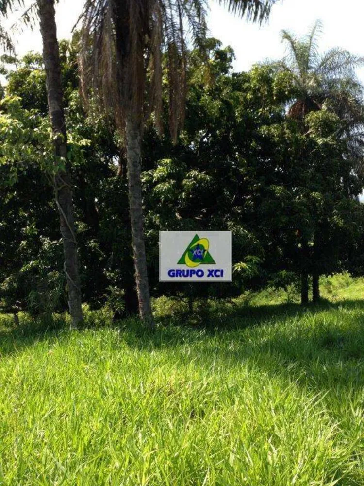 Sítio, 16 hectares - Foto 8