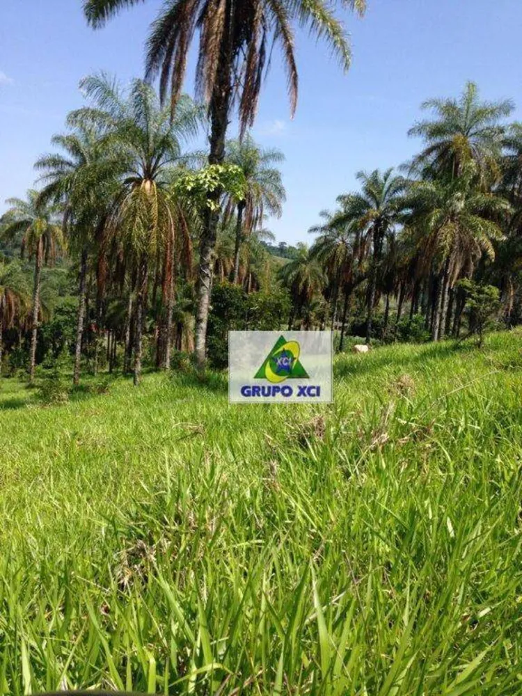 Sítio, 16 hectares - Foto 10