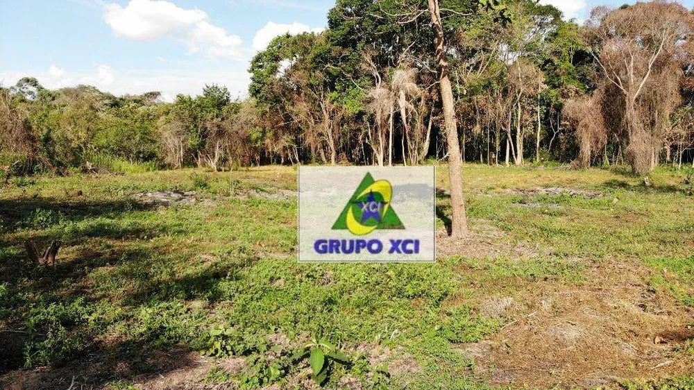 Sítio, 3 hectares - Foto 2