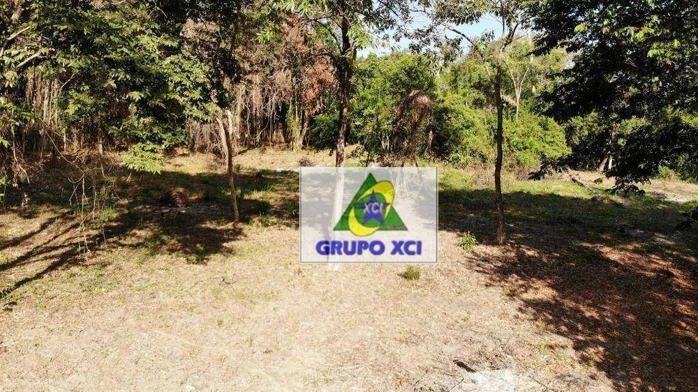 Sítio, 3 hectares - Foto 9