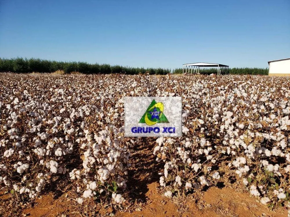 Fazenda, 17500 hectares - Foto 4