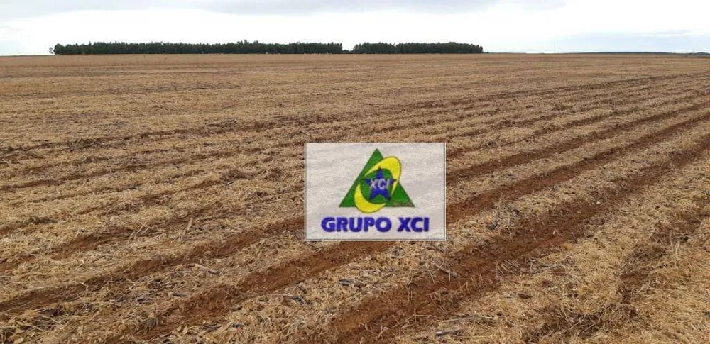 Fazenda, 17500 hectares - Foto 7