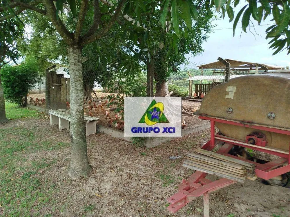 Sítio, 22 hectares - Foto 4