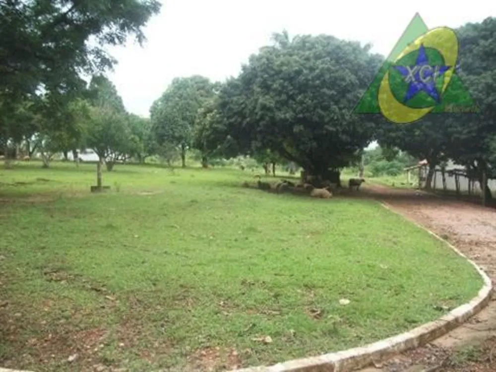Terreno, 9 hectares - Foto 6