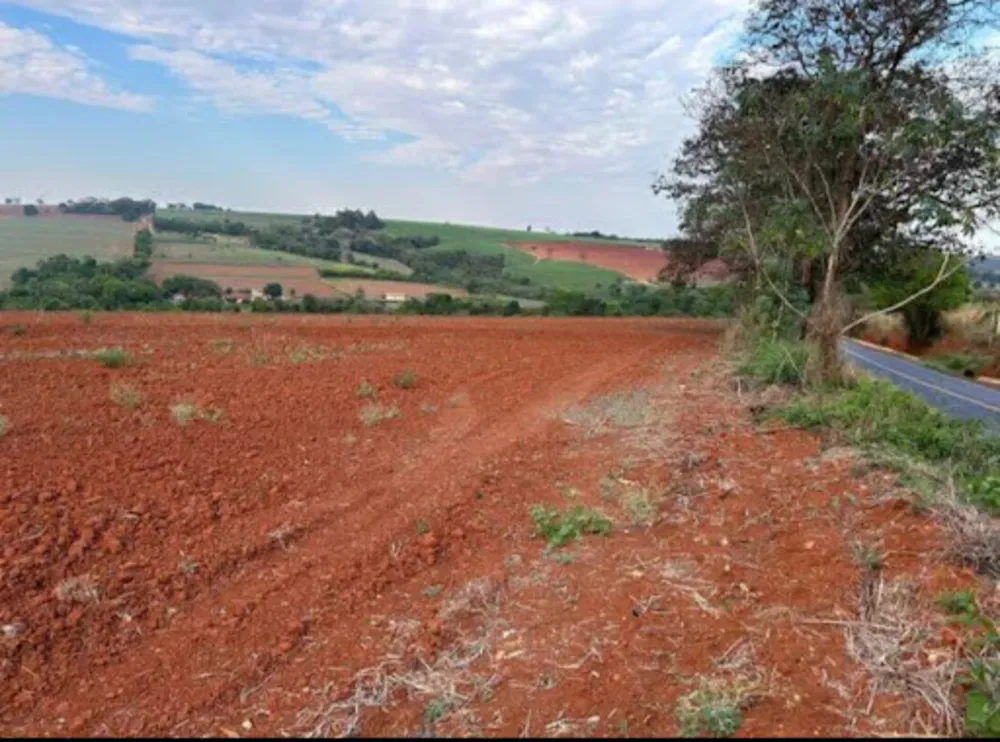 Sítio, 7 hectares - Foto 9