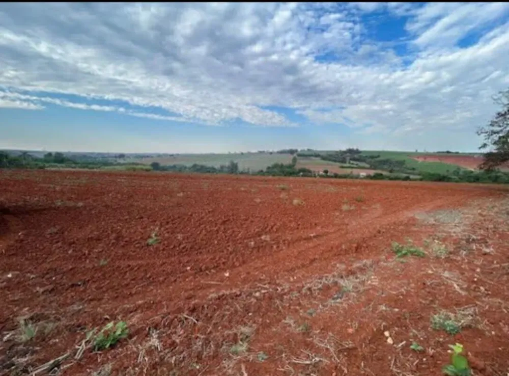Sítio, 7 hectares - Foto 6