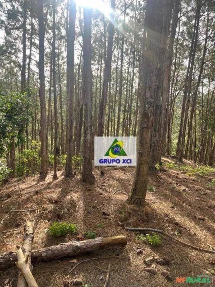 Fazenda, 242 hectares - Foto 1