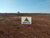 Fazenda-Sítio-Chácara, 785 hectares - Foto 3