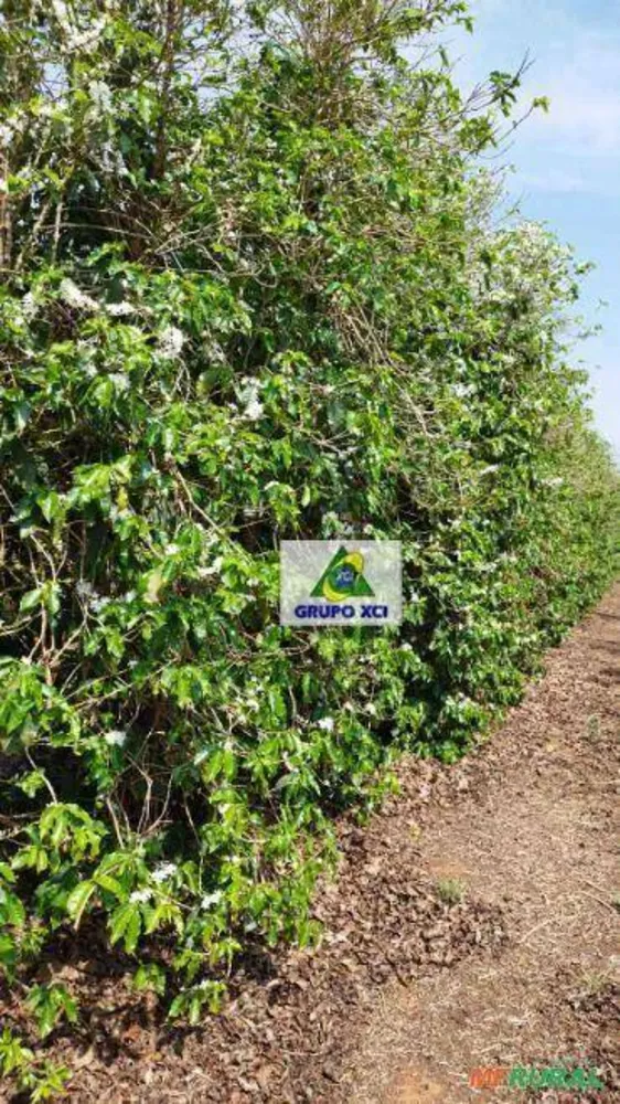 Fazenda, 40 hectares - Foto 3