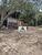 Fazenda-Sítio-Chácara, 140 hectares - Foto 2