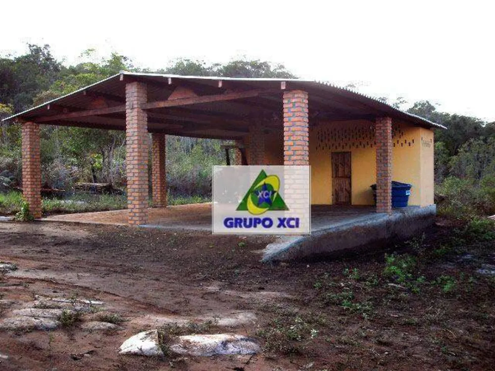 Fazenda, 1005 hectares - Foto 3