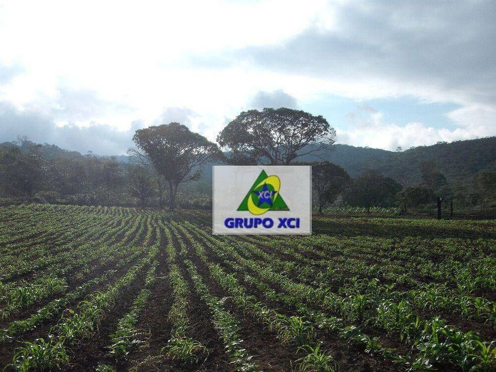 Fazenda, 1005 hectares - Foto 3