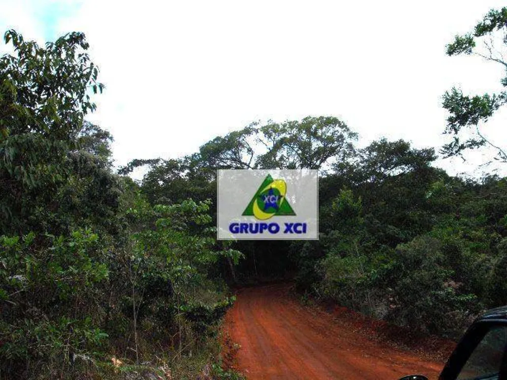Fazenda, 1005 hectares - Foto 6