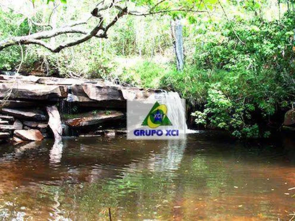 Fazenda, 1005 hectares - Foto 4