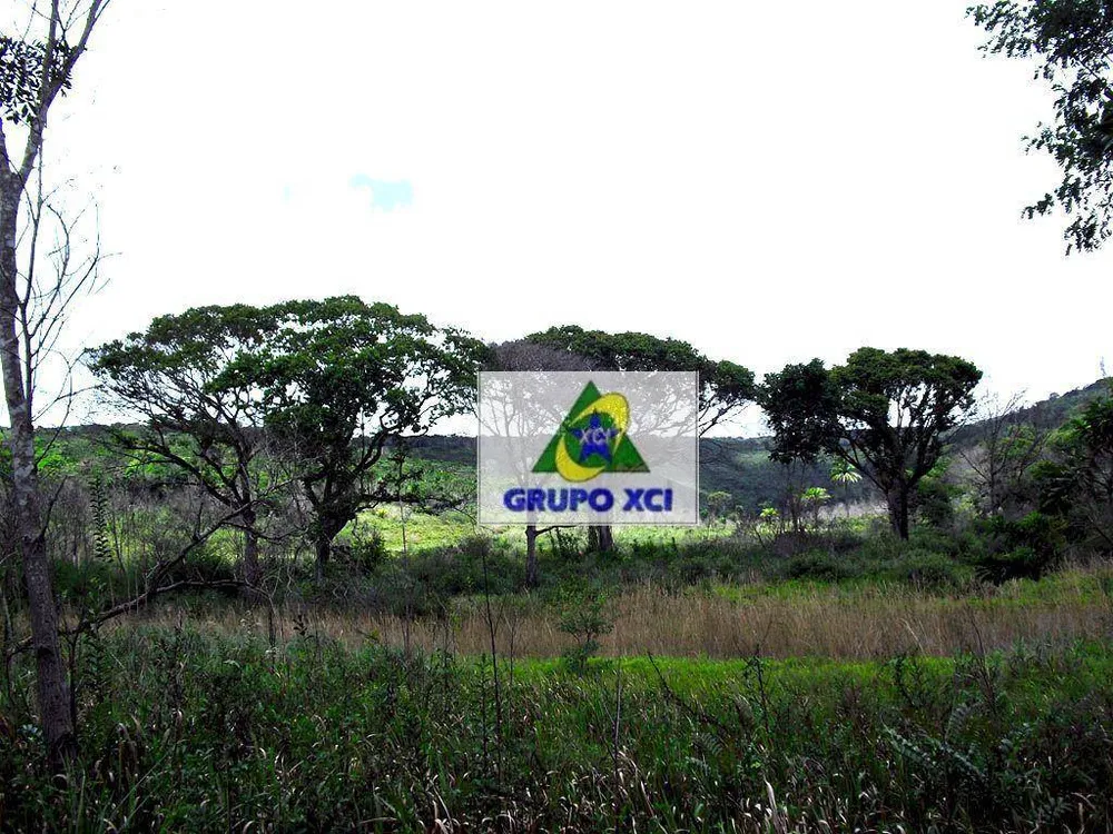 Fazenda, 1005 hectares - Foto 9