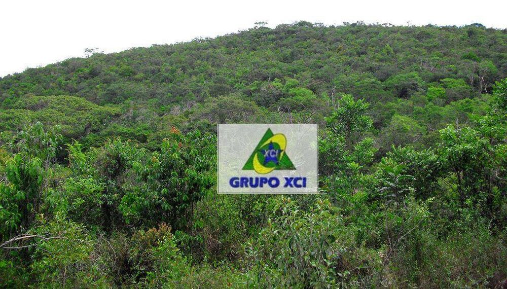 Fazenda, 1005 hectares - Foto 2