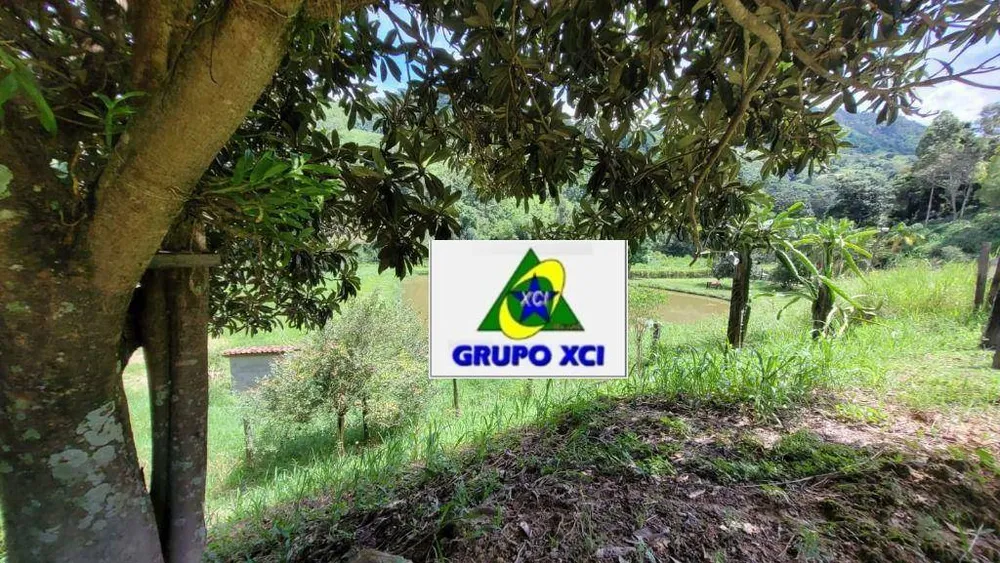 Sítio, 32 hectares - Foto 4