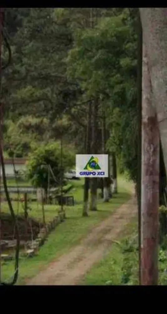 Sítio, 5 hectares - Foto 1