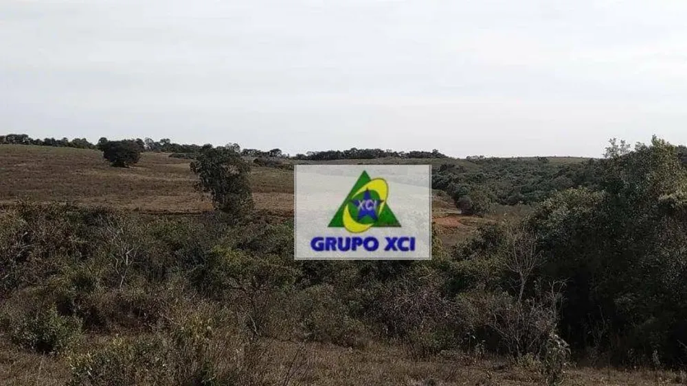 Fazenda, 98 hectares - Foto 3
