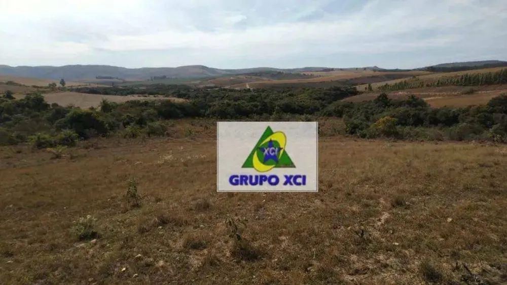 Fazenda, 98 hectares - Foto 5