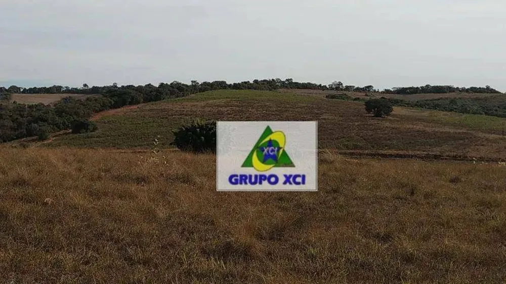 Fazenda, 98 hectares - Foto 6