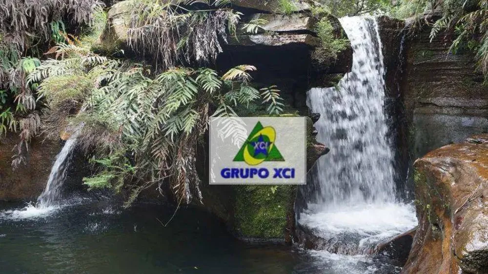 Fazenda, 98 hectares - Foto 11