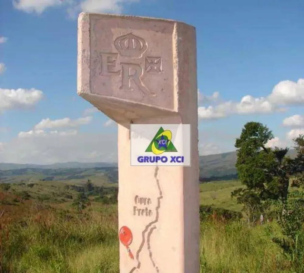 Fazenda, 98 hectares - Foto 9