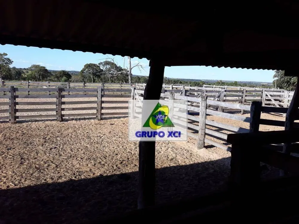 Fazenda, 206 hectares - Foto 10