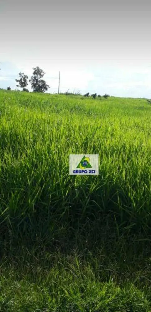 Fazenda, 206 hectares - Foto 7