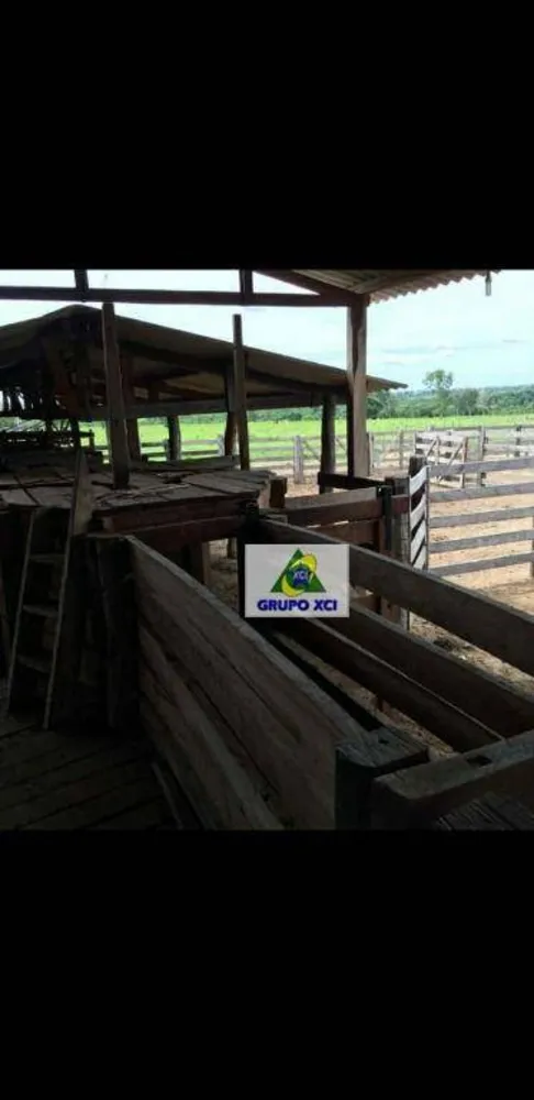Fazenda, 206 hectares - Foto 6