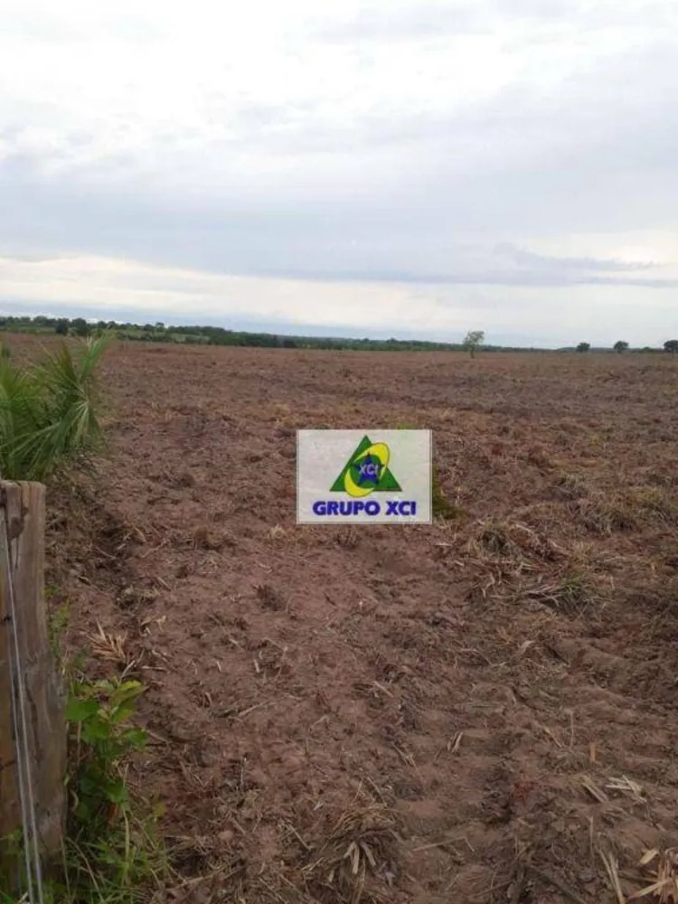 Fazenda, 206 hectares - Foto 9