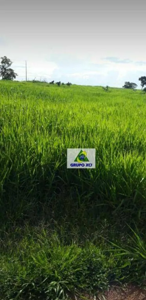 Fazenda, 206 hectares - Foto 5