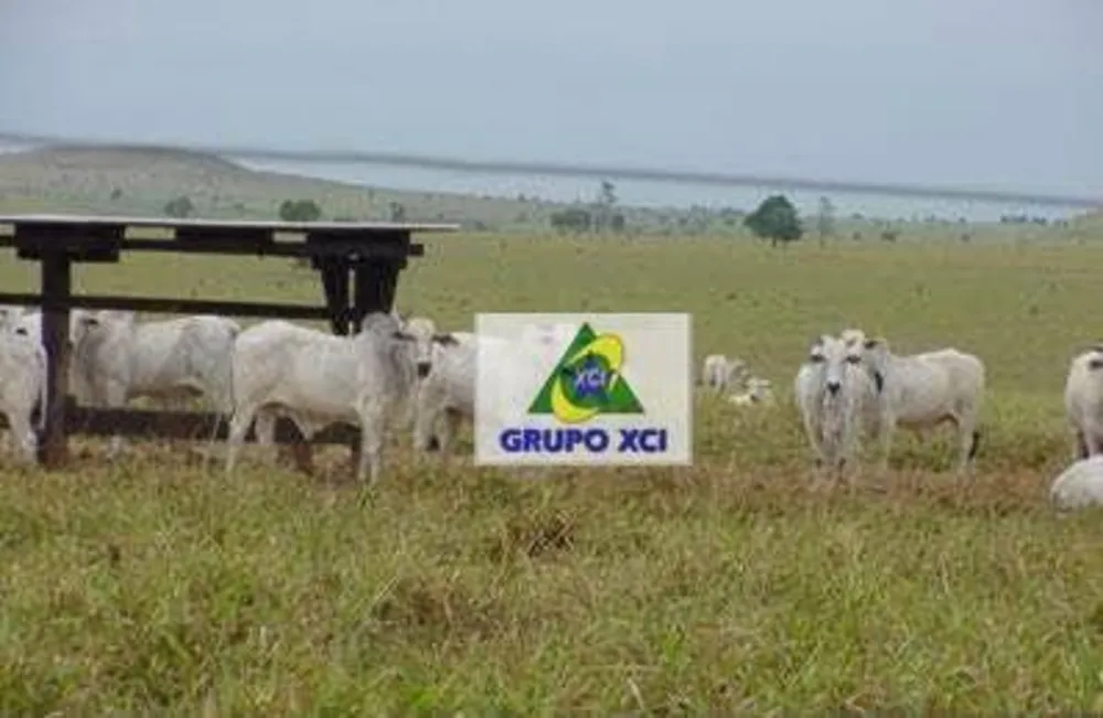 Fazenda, 80000 hectares - Foto 10