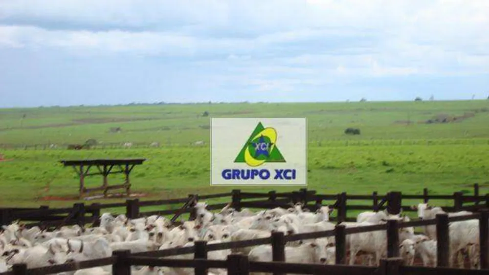 Fazenda, 80000 hectares - Foto 4
