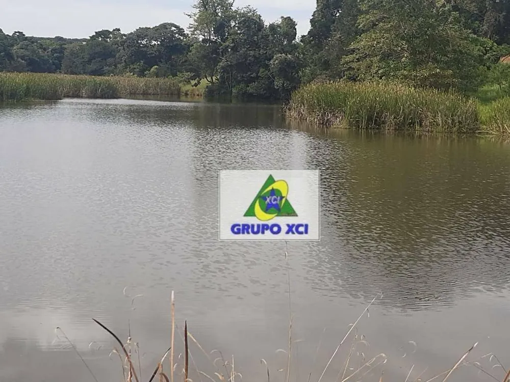 Fazenda, 97 hectares - Foto 4