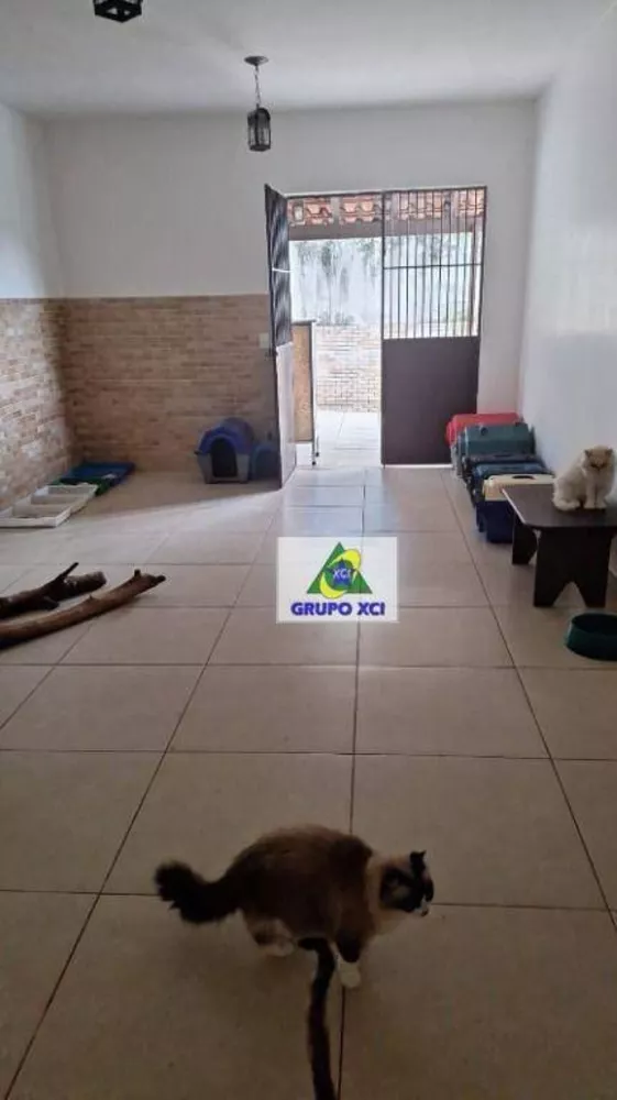 Chácara, 5 quartos, 1000 m² - Foto 5