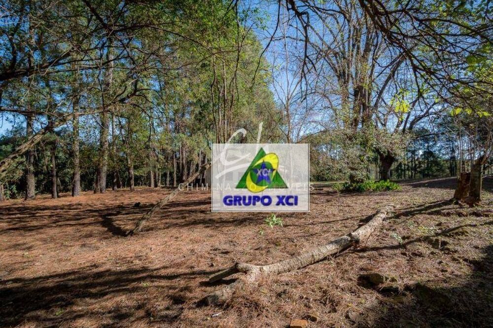 Chácara, 4 quartos, 2 hectares - Foto 12