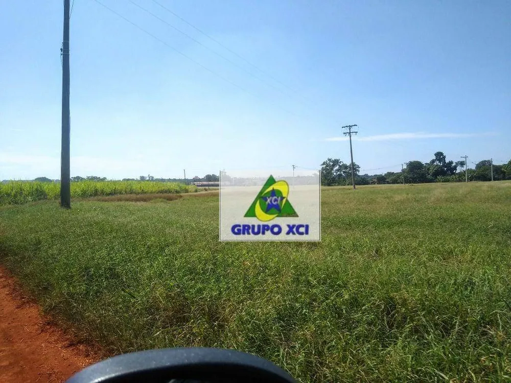 Terreno, 11 hectares - Foto 6