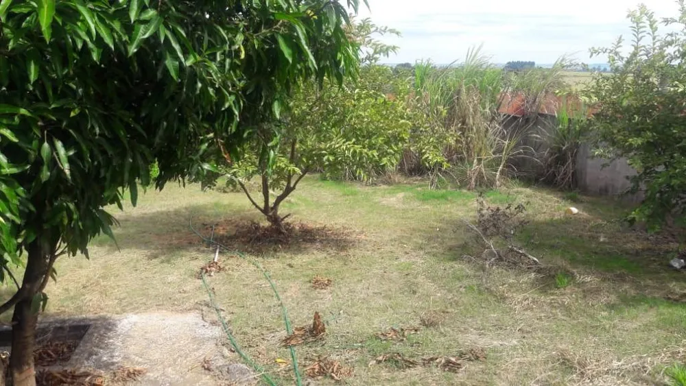 Chácara, 3 quartos, 1006 m² - Foto 10