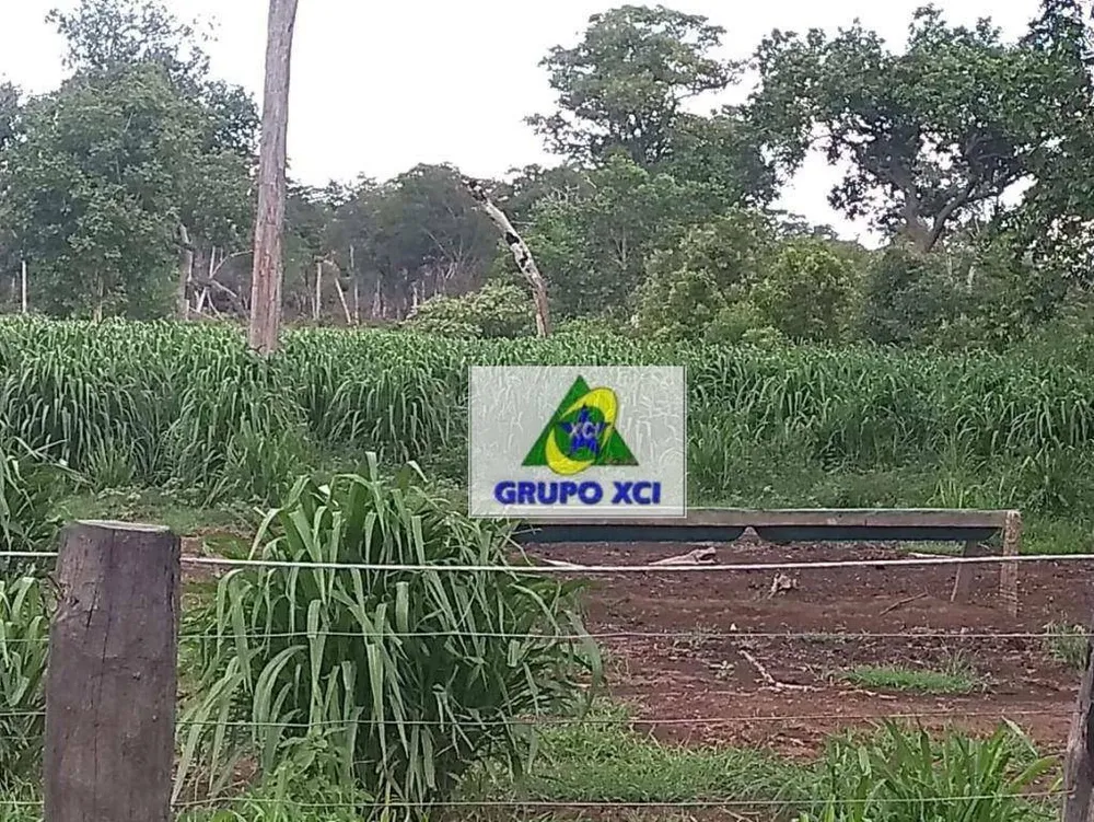 Fazenda, 28000 hectares - Foto 10