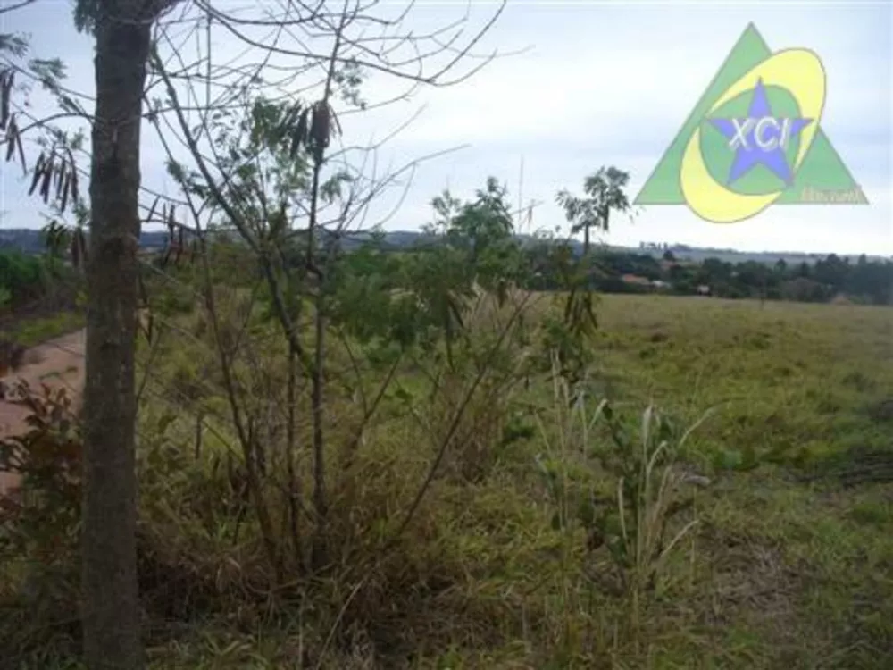 Terreno à venda, 49000M2 - Foto 3