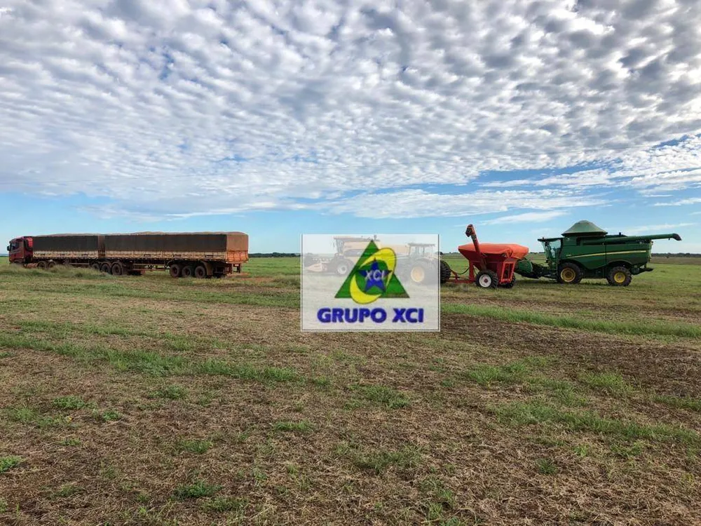 Fazenda, 1152 hectares - Foto 8