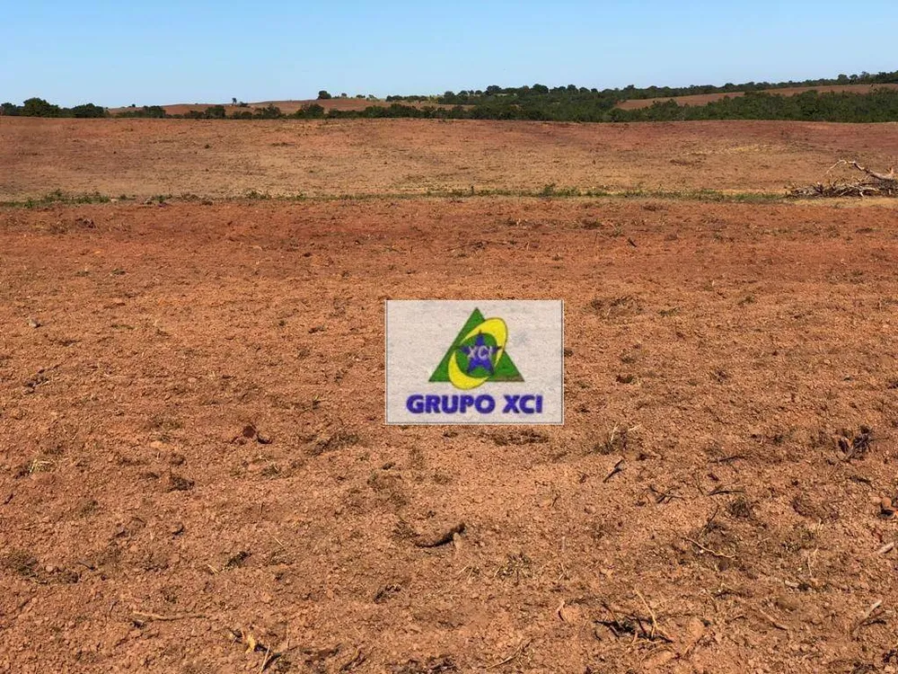 Fazenda, 1152 hectares - Foto 7