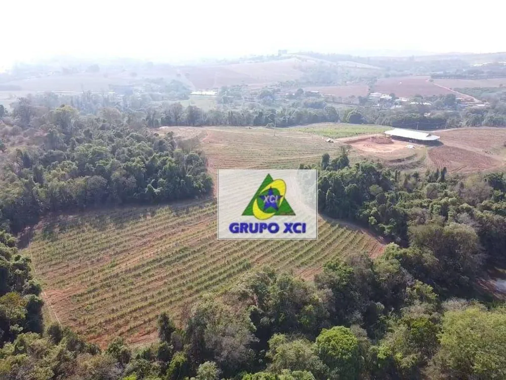 Sítio, 10 hectares - Foto 1