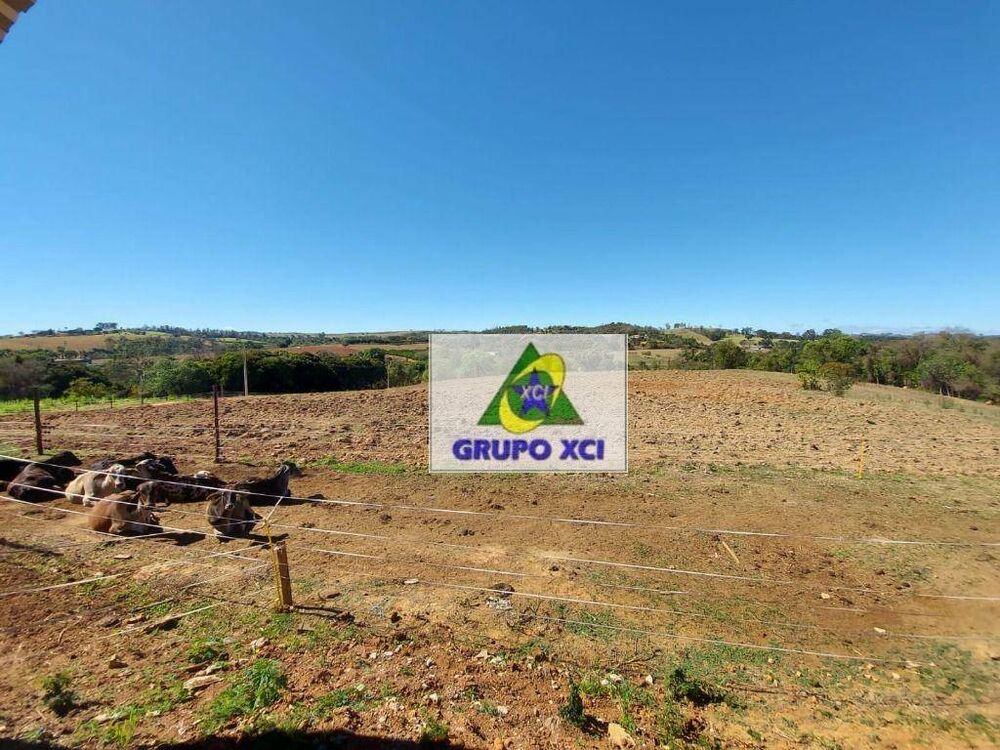 Sítio, 10 hectares - Foto 12