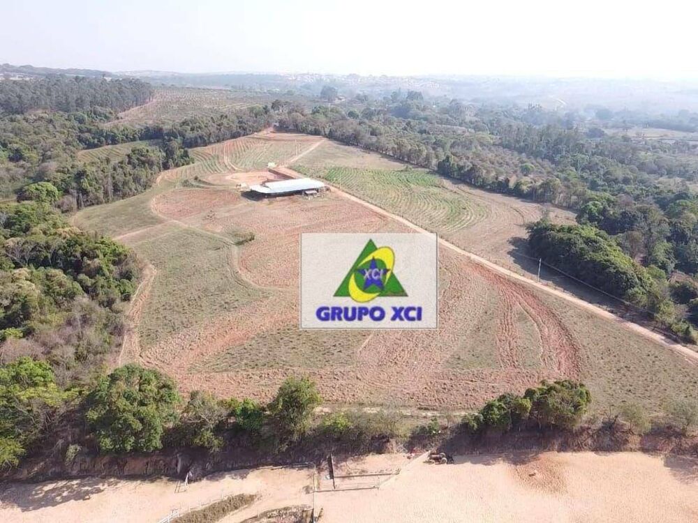 Sítio, 10 hectares - Foto 5