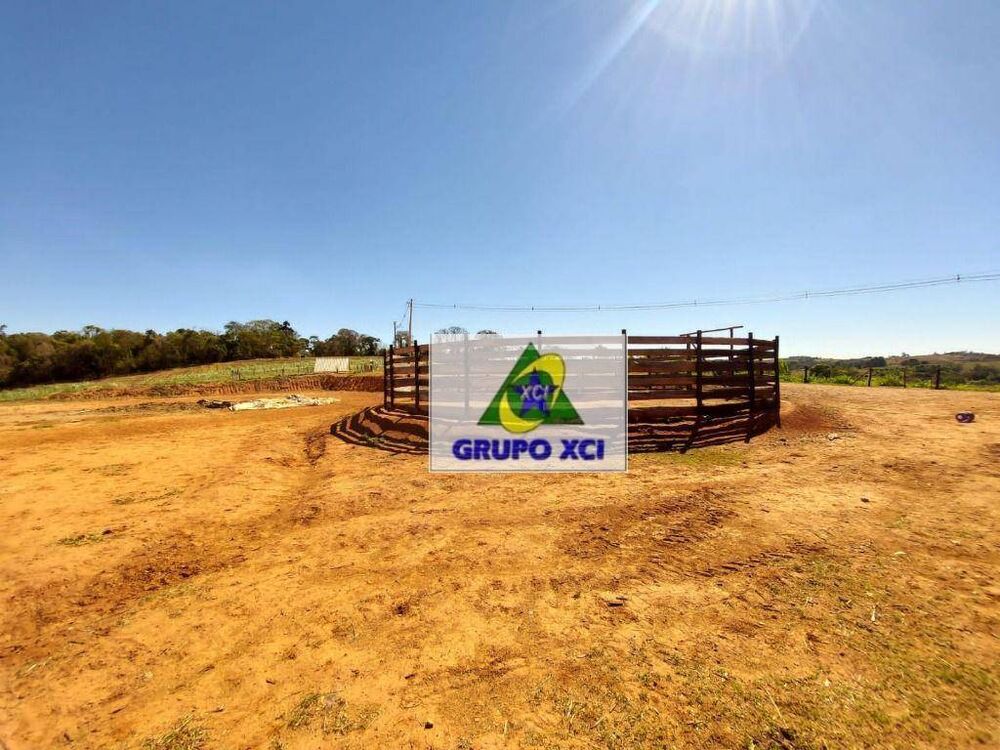 Sítio, 10 hectares - Foto 9