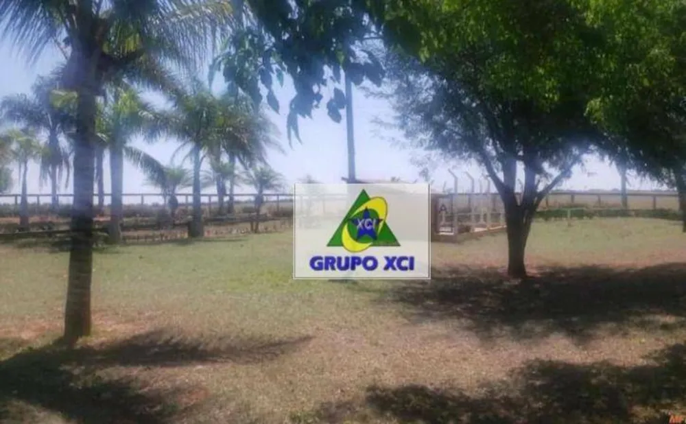 Sítio, 6 hectares - Foto 8