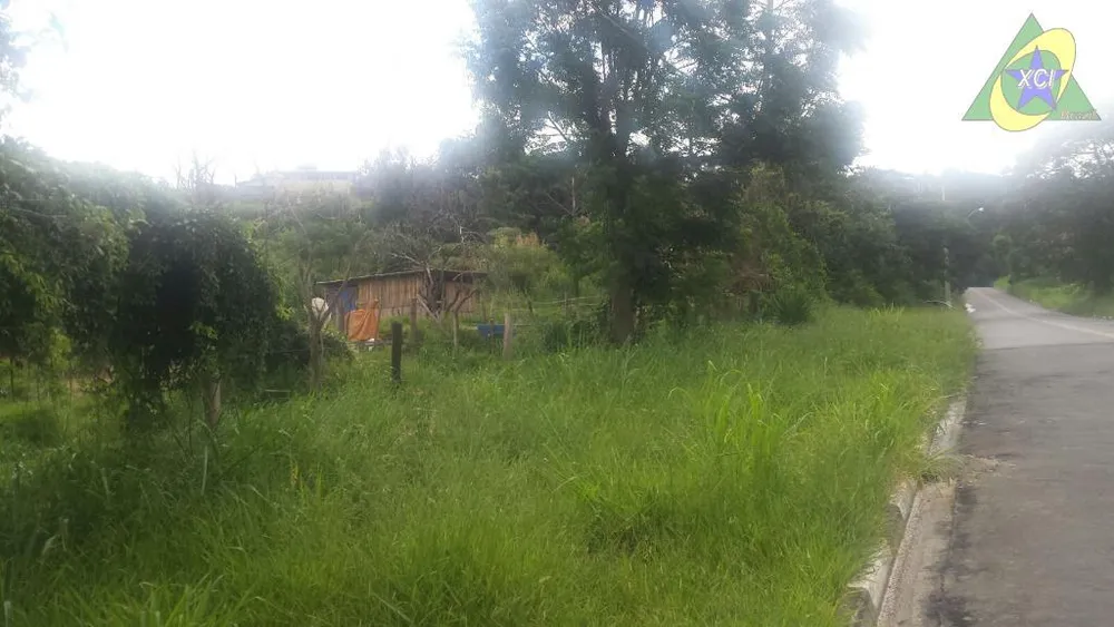 Terreno, 3 hectares - Foto 3