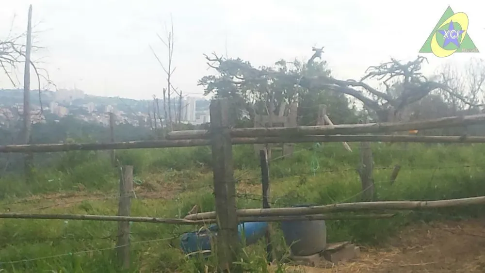 Terreno, 3 hectares - Foto 7